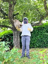 Knockout Pest Control photo 8