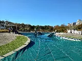 Royalty Pool Service LLC photo 4