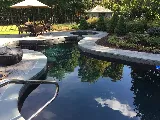 Eastern Aquatics photo 7