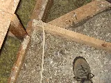 Attic Animal Pest Providence photo 6