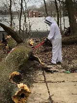 Antix Pest & Termite Control photo 5