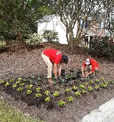 Edge Landscaping Co. photo 7