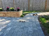 Ecoyards photo 6
