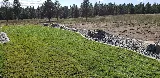 Palmer Landscape Design photo 4