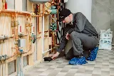 Spidexx Pest Control & Termite photo 4