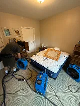 Eco Bed Bug Exterminators VA photo 3