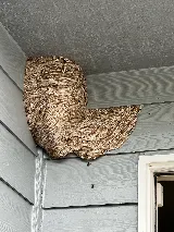 AMPM Exterminators