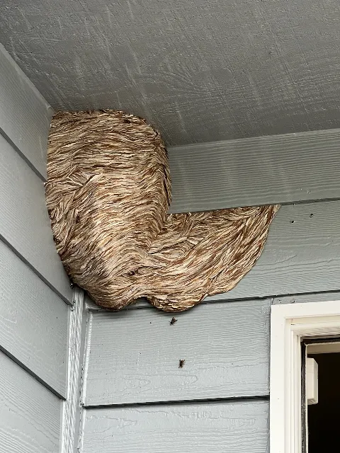 AMPM Exterminators photo 1