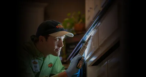 The Bug Man, Inc. photo 1