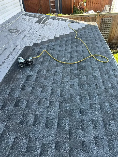 Cheetah Pro Roofing photo 1