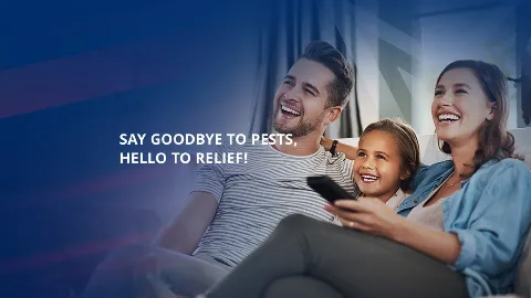 American Pest Solutions in Northampton