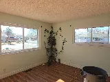Performance Windows Reno photo 8