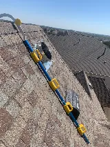 Absolute Pest Management photo 4