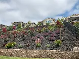 Malagon Legacy Landscaping photo 8