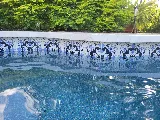 D's Pool Care Inc. photo 2