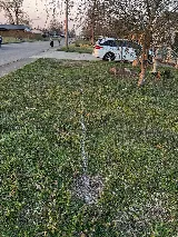 Maston's Plumbing & Drain photo 5