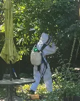 The Bugman Pest Control Services photo 4
