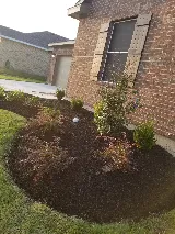 JT Lawn Service photo 6