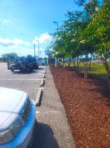Topnotch Landscaping photo 4