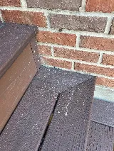 Greenix Pest Control photo 2