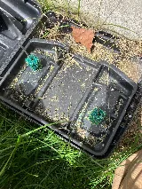 Greenix Pest Control photo 4