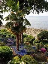 Beyond Landscaping photo 8