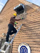 Windsor Pest Terminators photo 3