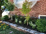 Gonzalez & Sons Landscaping Inc photo 3