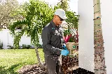 Prodigy Pest Solutions photo 6