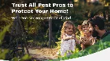 All Pest Pros photo 3