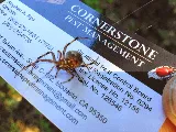 Cornerstone Pest Management photo 5