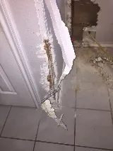 E & M Paint And Drywall photo 5