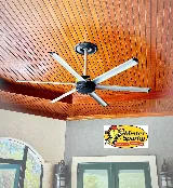 Mister Sparky of Columbia photo 2
