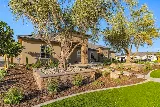 Lesaca Landscape Company, Inc.