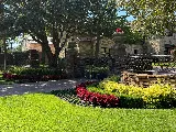 Southern Botanical Landscaping photo 3