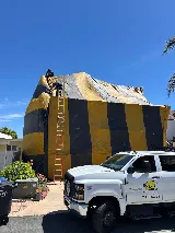 Jetty Termite & Pest Control photo 5