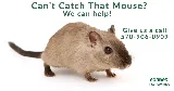 Forbes Pest Control, LLC photo 4