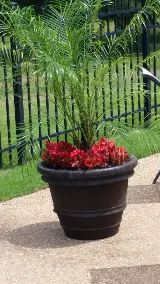 Serene Scenes Lawn and Landscape LLC photo 5