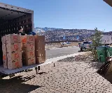 All Together Moving photo 6