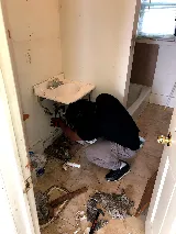 TrueCare Moving Service LLC photo 3