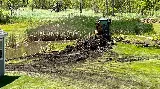 Tree And Yard Renovations photo 6