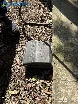 Positive Pest Management photo 8