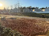 Flanary Brothers Landscaping photo 5