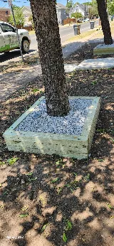 GMaya Tree Service & Landscaping LLC photo 6