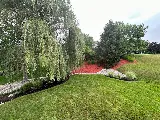 Rueve Landscape Company photo 6