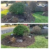 White Rock Lawn and Yard Care Ltd. photo 4