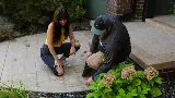 Janssen Pest Solutions photo 6