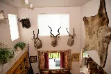 Alisons Relocations, Inc. (ARI) photo 5
