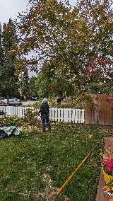 VitaNova Landscape Ltd. photo 4