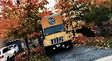 Professional Movers Toronto